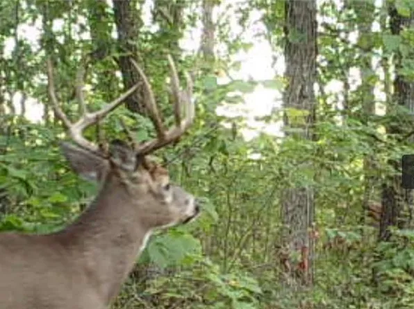 XX151 River Road, St Croix Falls, WI 54024