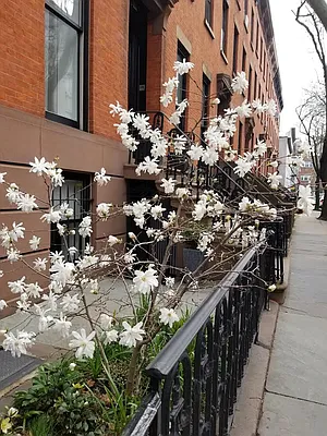 Rented by Brooklyn Heights Real Estate Inc | media 15