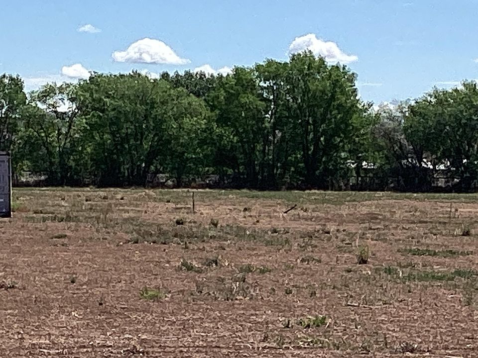 2nd image of Olive Ln