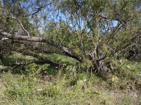 (undisclosed Address), Sinton, TX 78387