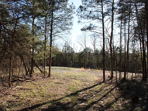 3rd image of TRACT Two D County Rd #449