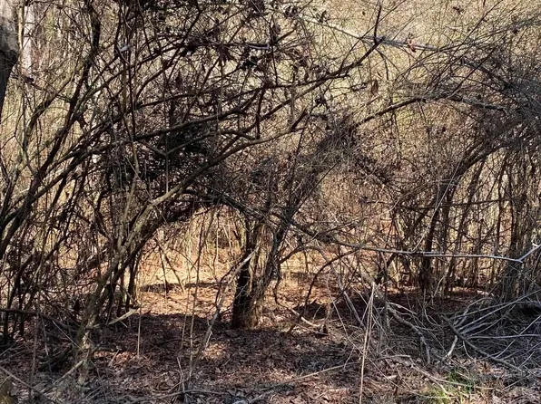 0 Crestwood Ln #116, Talladega, AL 35160