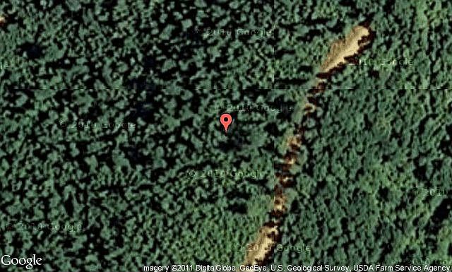 Map View
