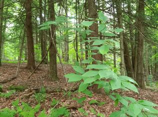 1408 Murphy Hill Rd, Delancey, NY 13752