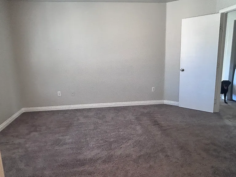 3308 Gold Run St — Photo 32