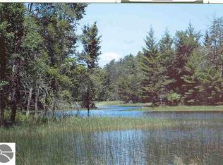 0 Chain Lake Dr, South Branch, MI 48761