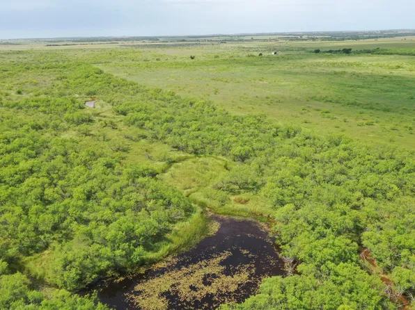 Davis Ln Tract 8, Bellevue, TX 76228