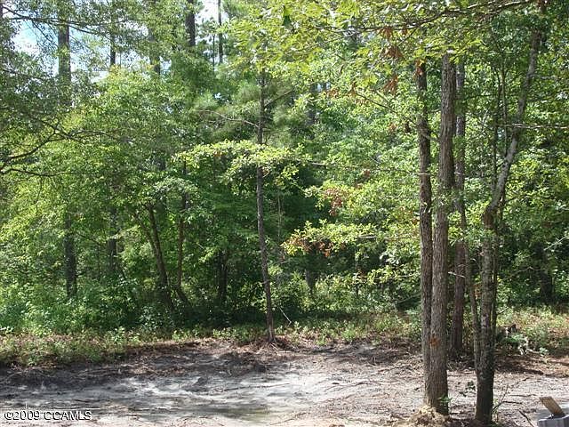 2nd image of 208 Brook Crossing