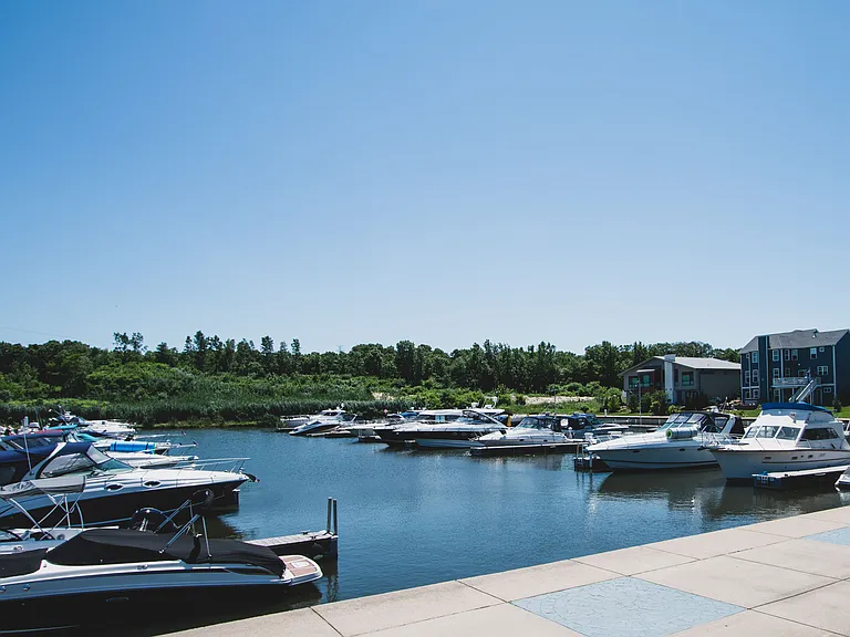 The Marina