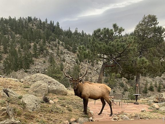 2nd image of 1006 Kneale Rd