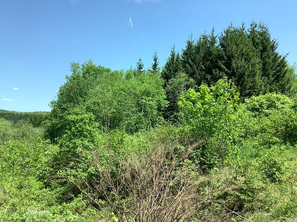 2nd image of 0 Rene Vaillancourt Home Farm