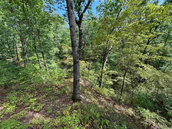 (undisclosed Address), Hot Springs Village, AR 71909