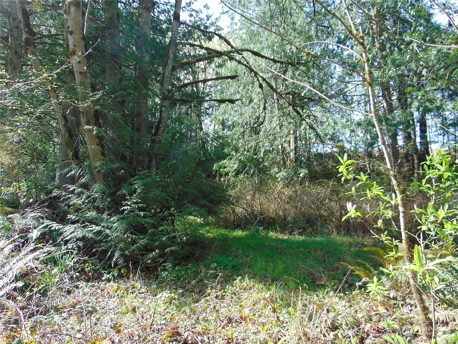 3001 Chicken Coop, Sequim, WA 98382 Zillow