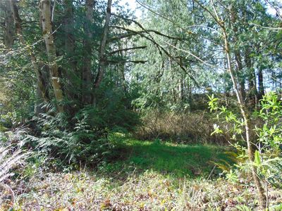 3001 Chicken Coop, Sequim, WA, 98382