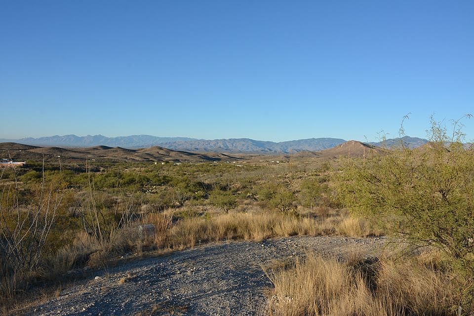 Looking North