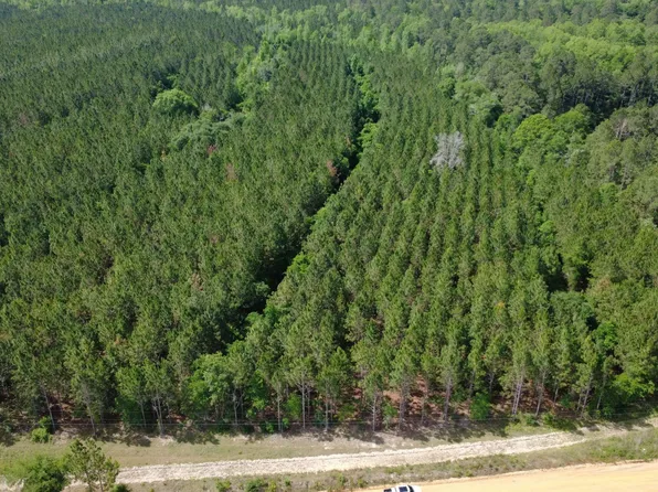 0 A L Reeves Rd, Fitzgerald, GA 31750