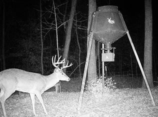 Salt Lick Rd, Lockesburg, AR 71846
