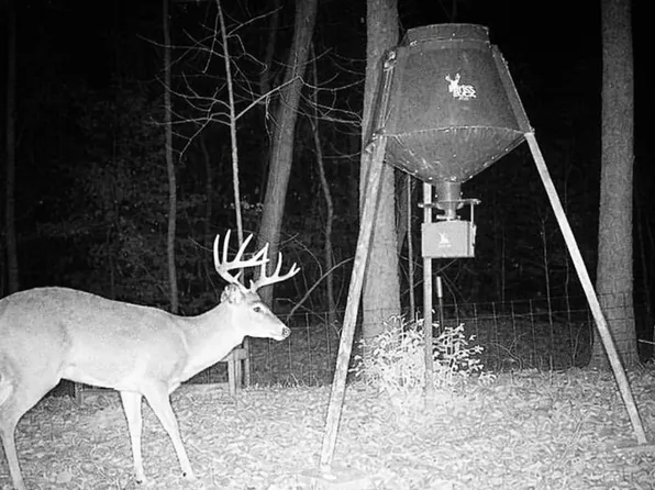 Salt Lick Rd, Lockesburg, AR 71846