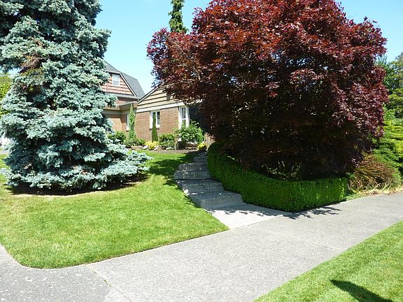 Front yard - South