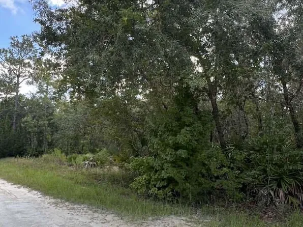 0 Zebrafinch Ave, Brooksville, FL 34614