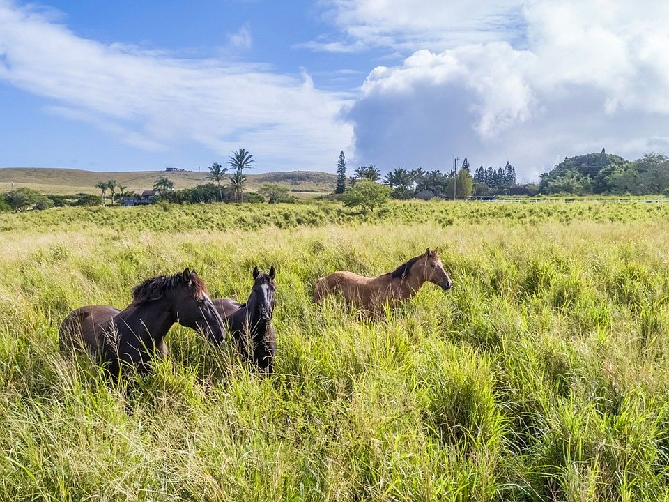 1st image of Puakea Dr Lot 238