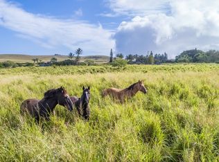 Puakea Dr LOT 238, Hawi, HI 96719