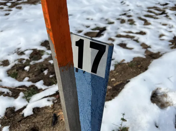 7958 Springwater Dr NW, Rapid City, MI 49676