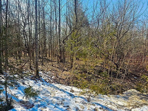 3rd image of 180 Bowles Bluff Rd