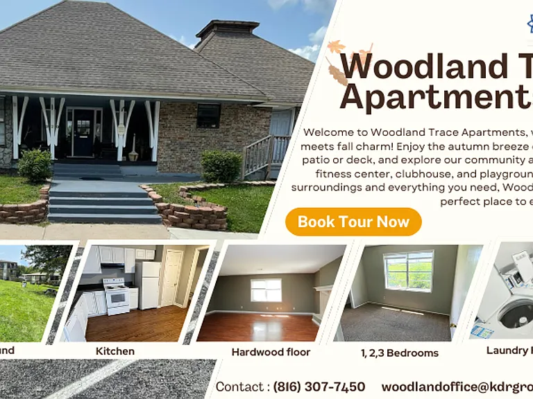 Woodland Trace — Photo 15