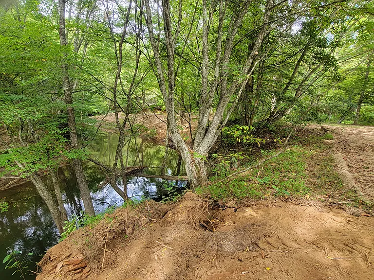 329 Turtlerun Rd — Photo 45