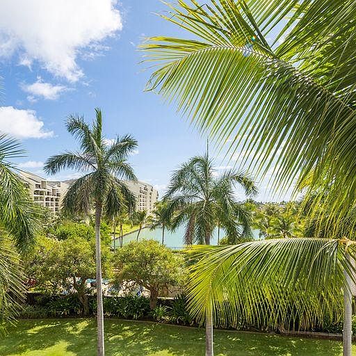 Magnificent Marina and palm tree view!