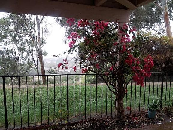 5th image of 3048 Avenida Christina
