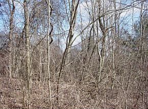 2nd image of 140 Bean Hill Rd