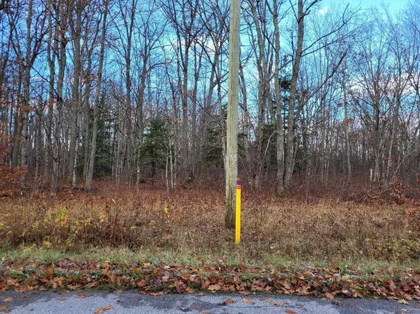 0 S Caldwell Rd, Kinross, MI 49752