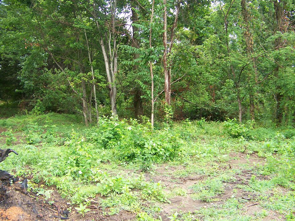 2nd image of Vandy Cir