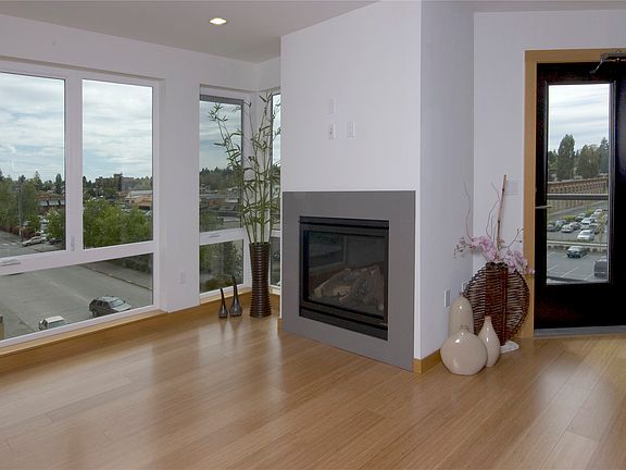 Floor to Ceiling Windows / Gas Fireplace