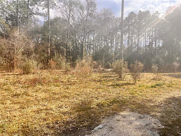4th image of 29386 Farwell Dr
