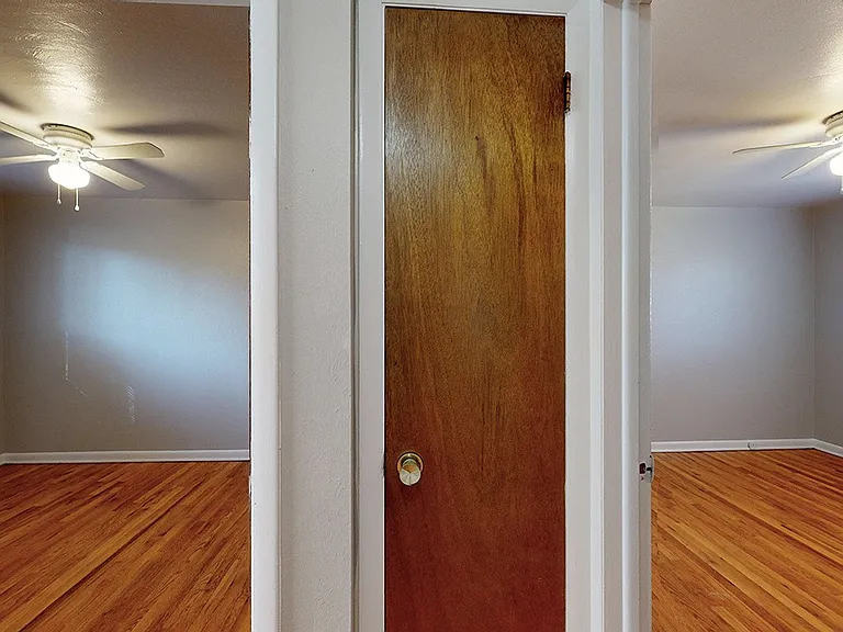 Jellison — Photo 14