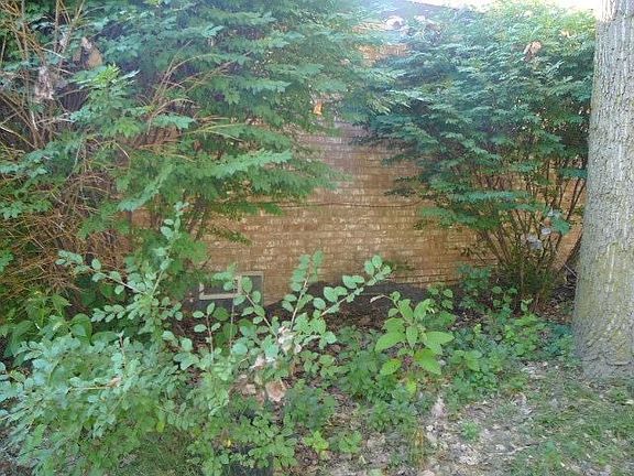 4th image of 25074 Briarbank Ave