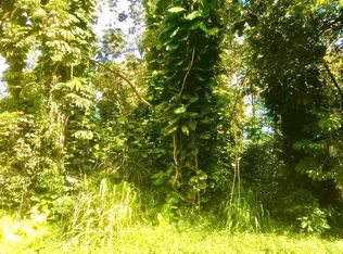 Puni Makai Loop N LOT 1251, Pahoa, HI 96778