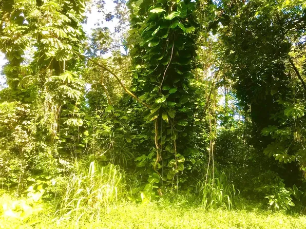 Puni Makai Loop N Lot 1251, Pahoa, HI 96778
