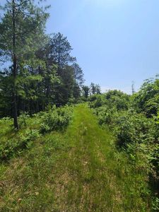 SHEIK LANE, Crivitz, WI, 54114