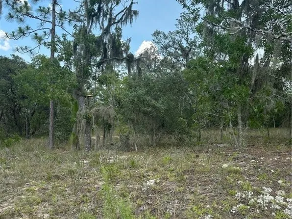 869 N Kensington Ave, Lecanto, FL 34461