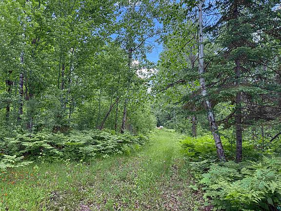 33rd image of 2647 Billings Rd