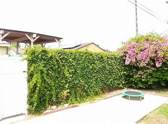 3rd image of 3489 Ashwood Ave