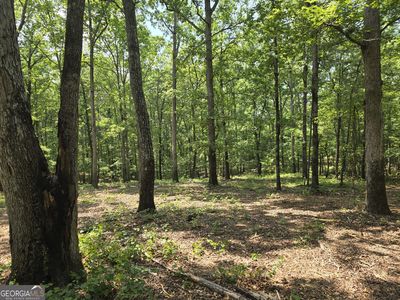 0 Faulkner Rd LOT 2, Monticello, GA, 31064