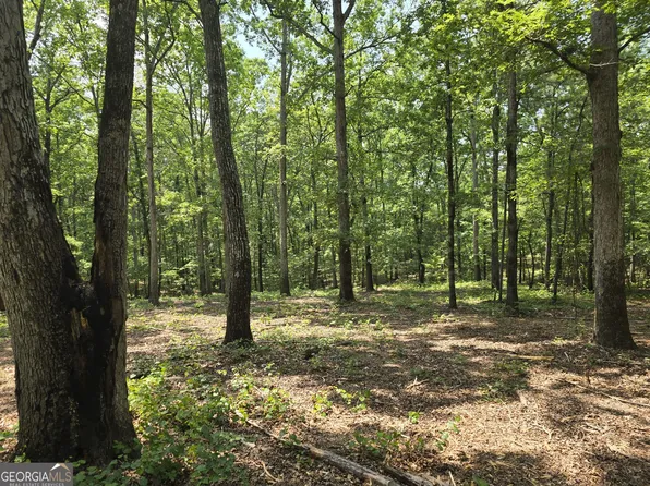 0 Faulkner Rd Lot 2, Monticello, GA 31064