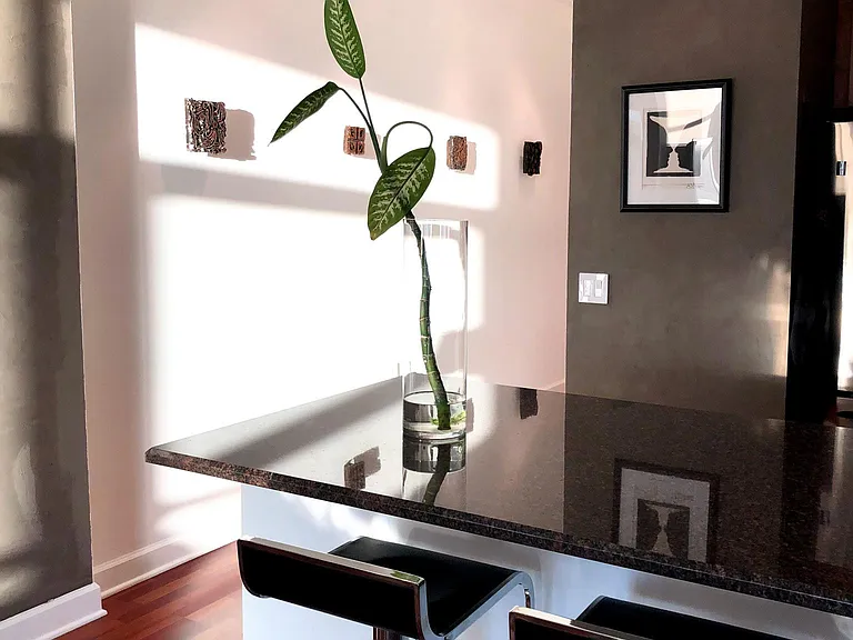 1235 S Prairie Ave #2108 — Photo 4