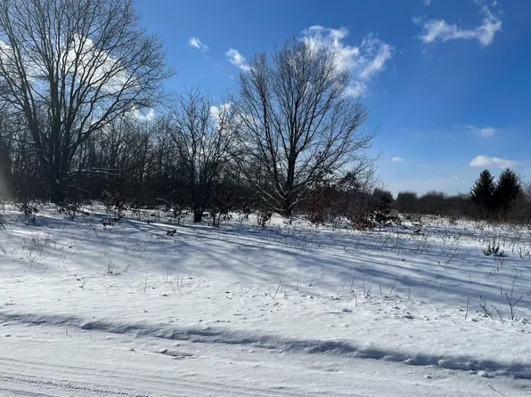 Vacant Lot 2, Shelby, MI 49455