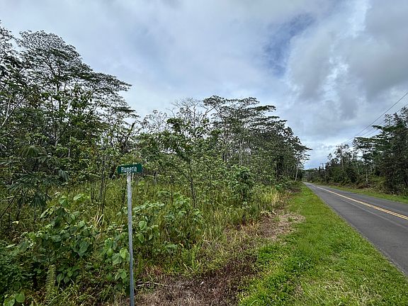 5th image of Plumeria Rd